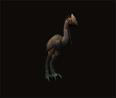 Greater Plainstrider appearance