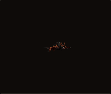Greater Duskbat's look